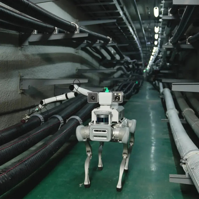 Robot Dog Higher Running Speed Excellent Motion Stability Educational Robot