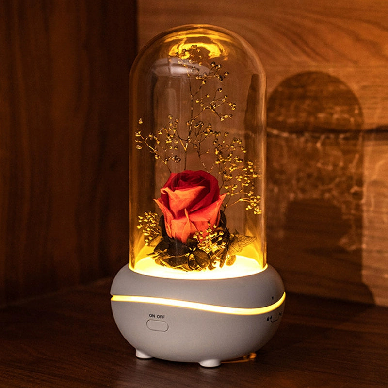 Qixi Valentine's Day Gift Preserved Fresh Flower Fragrance Lamp Rose Romantic Practical Gift for Girlfriend Friends Girlfriends Night Light