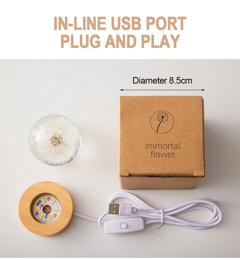 3D Dandelion Crystal Ball 5cm 6cm Luminous Immortality Flower Gift Crystal Ball Wood Stand Base Preserved Flower Sphere Ball