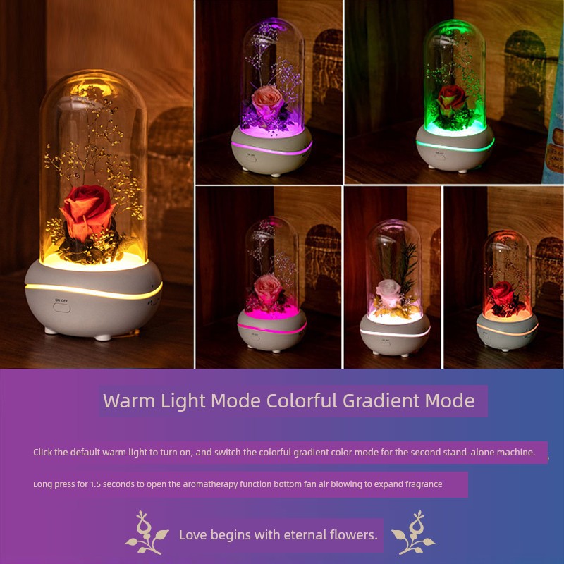 Qixi Valentine's Day Gift Preserved Fresh Flower Fragrance Lamp Rose Romantic Practical Gift for Girlfriend Friends Girlfriends Night Light