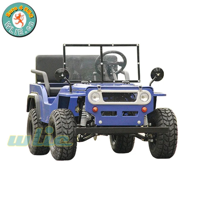 New Fashion Go Kart for Rental Child Gasolina 50cc/110cc/125cc/150cc Mini Jeeps with CE