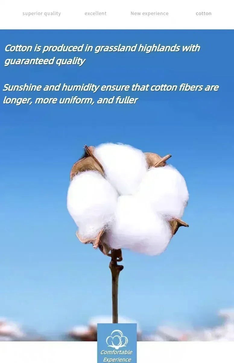 New Sportswear Gengar Anime Pikachu Snorlax Men's and Women's Autumn Winter Hoodies Student Sweaters Youth Cool Sports Jackets