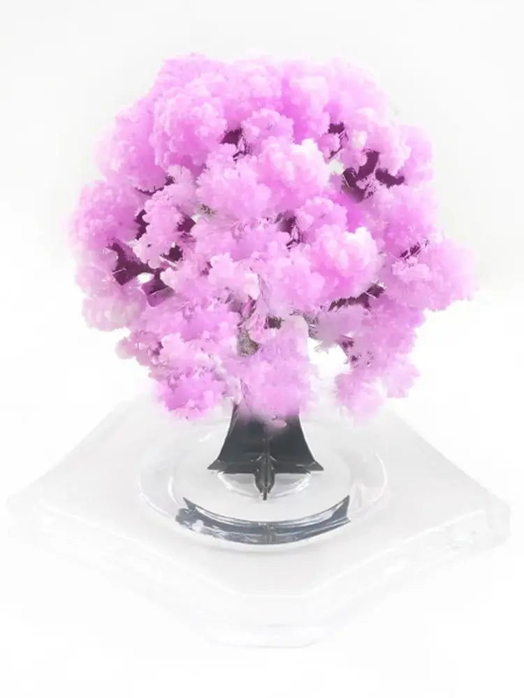 1 PCS 90mm Pink Magic Growing Paper Sakura Tree Magical Christmas Trees Desktop Cherry Blossom Educational Science Toys Funny