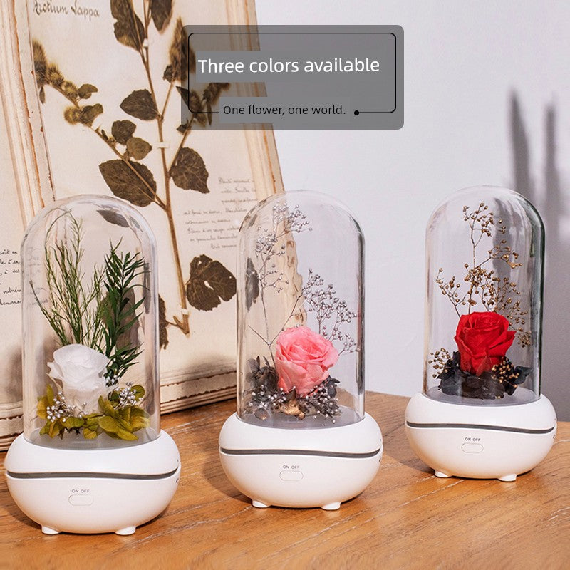 Qixi Valentine's Day Gift Preserved Fresh Flower Fragrance Lamp Rose Romantic Practical Gift for Girlfriend Friends Girlfriends Night Light