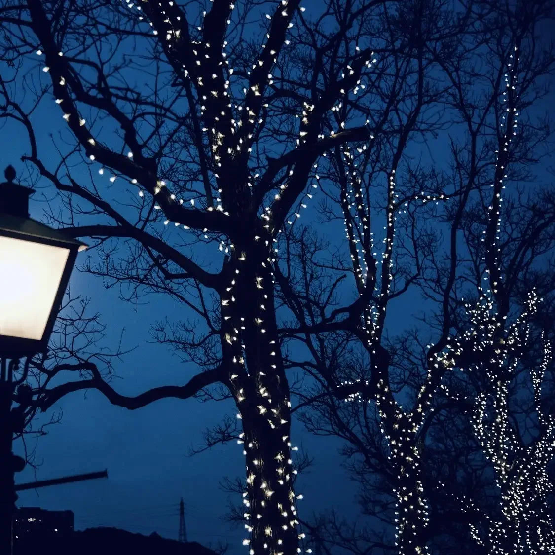 AlliLit LED Solar String Light Fairy Outdoor Garden Waterproof Lamp 2025 Christmas Garland Xmas Holiday Party Home Decoration