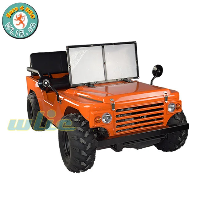 New Fashion Go Kart for Rental Child Gasolina 50cc/110cc/125cc/150cc Mini Jeeps with CE