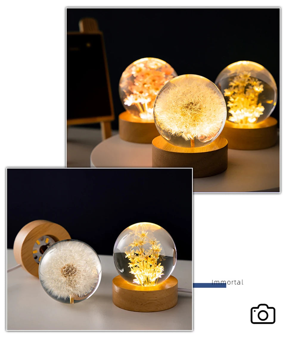 3D Dandelion Crystal Ball 5cm 6cm Luminous Immortality Flower Gift Crystal Ball Wood Stand Base Preserved Flower Sphere Ball
