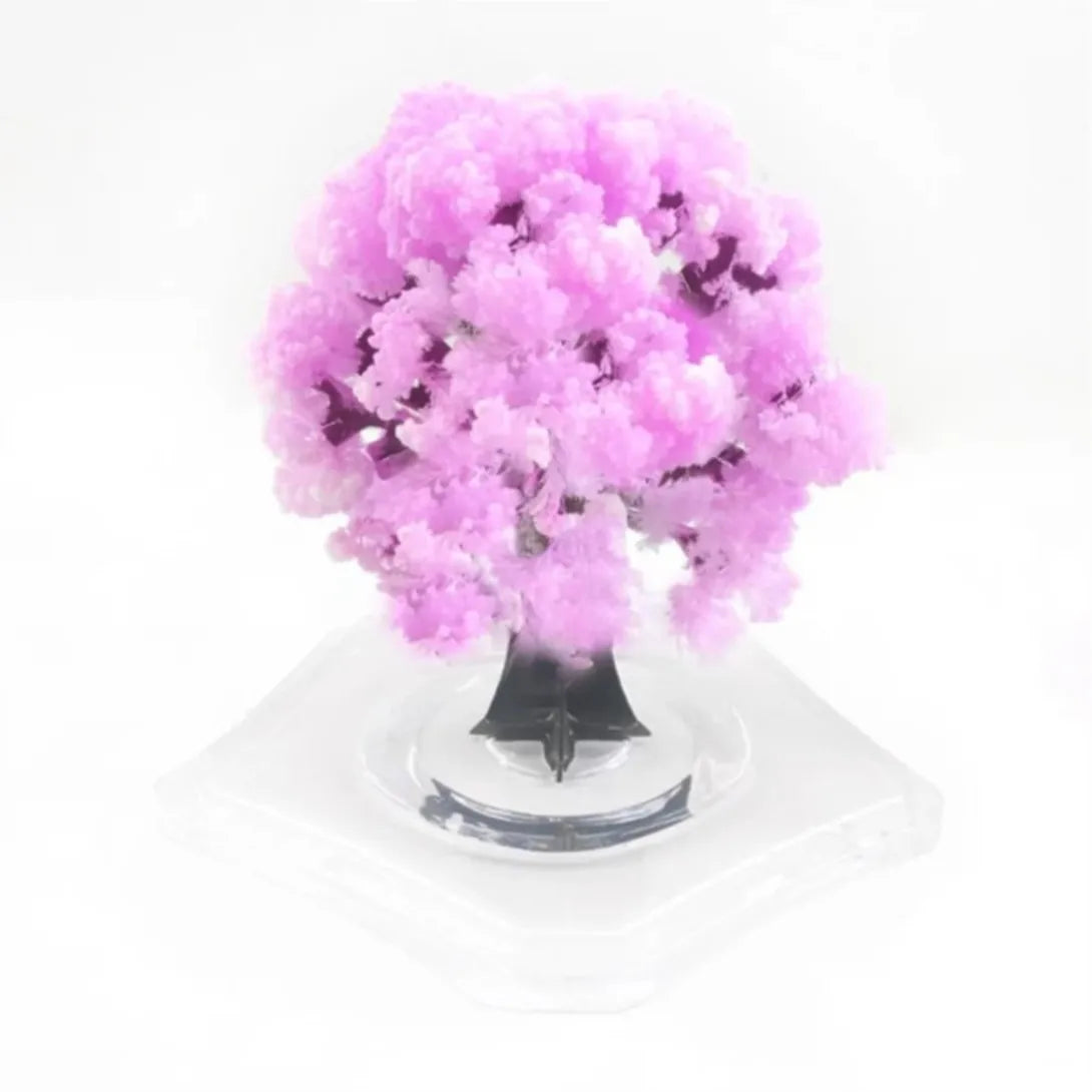 1 PCS 90mm Pink Magic Growing Paper Sakura Tree Magical Christmas Trees Desktop Cherry Blossom Educational Science Toys Funny